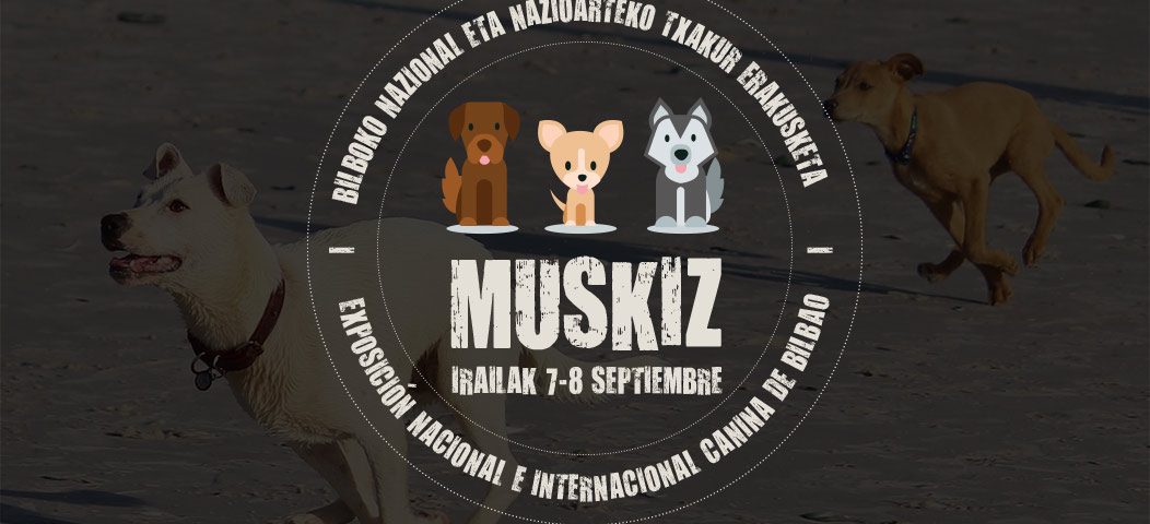 Exposición canina - Muskiz
